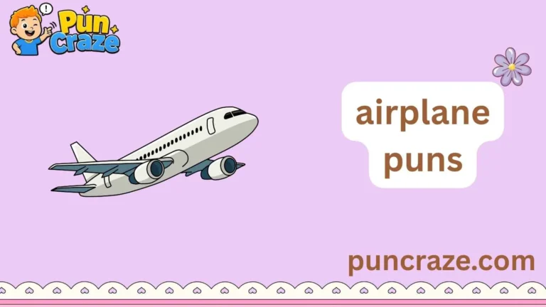 airplane puns